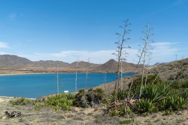 Almerya İspanya 'da plajı olan küçük bir kasaba. Tatilinizi geçirmek için rahatlatıcı bir yer.