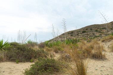 Almerya İspanya 'da plajı olan küçük bir kasaba. Tatilinizi geçirmek için rahatlatıcı bir yer.
