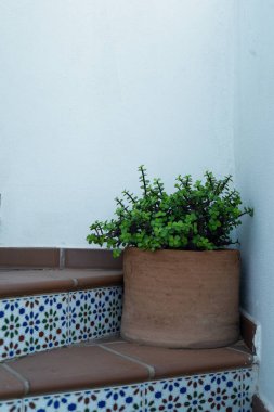 Almerya İspanya 'da plajı olan küçük bir kasaba. Tatilinizi geçirmek için rahatlatıcı bir yer.