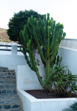 Almerya İspanya 'da plajı olan küçük bir kasaba. Tatilinizi geçirmek için rahatlatıcı bir yer.