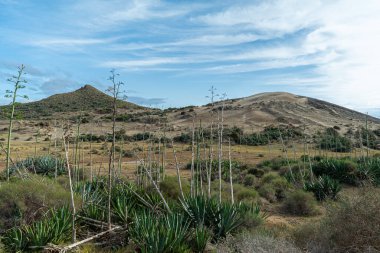 Cabo de Gata Almeria 6 'da manzara