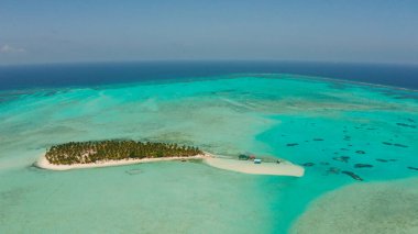 Güzel plajı, palmiye ağaçları ve yukarıdan turkuaz su manzaralı tropik bir ada. Onok Adası, Balabac, Filipinler. Yaz ve seyahat tatil konsepti