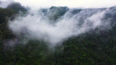 Aerial view of mountain peaks covered with forest and clouds. Sri Lanka.