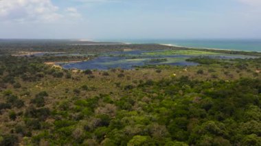 Lakes among jungles and wetlands near the ocean. Kumana National Park, Sri Lanka. Tropical landscape.