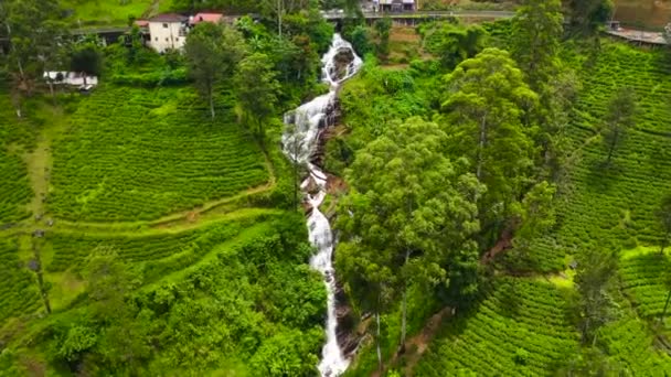Waterfall Tea Plantations Sri Lanka Sri Lanka Tea Estate Landscape — Video Stock