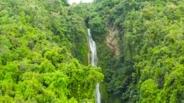 Filipinler 'deki Cebu adasında Mantayupan Şelalesi' nde. Yeşil ormanda şelale.