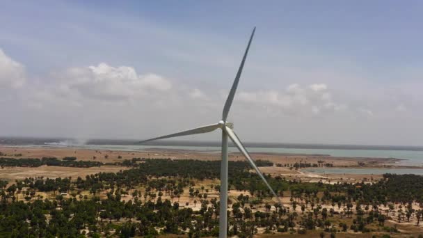 Group Wind Turbines Coastline Jaffna Sri Lanka Wind Power Plant — Stok video