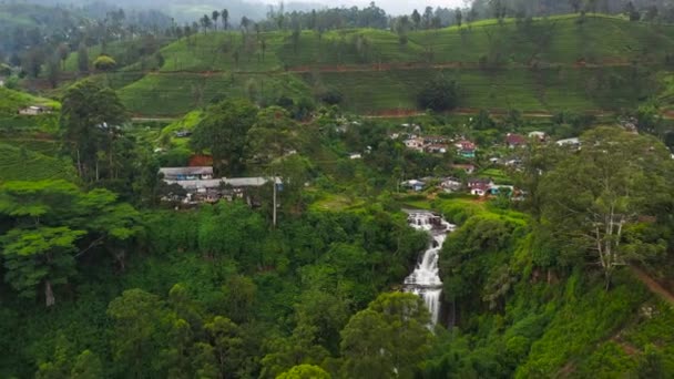 茶畑や滝の間の村の空中ビュー スリランカの熱帯の風景 スリランカのバーノン山 — ストック動画