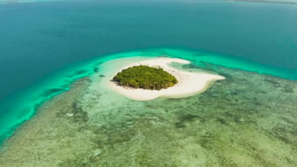 Utazási Koncepció Homokos Strand Egy Trópusi Szigeten Pálmafákkal Korallzátony Atoll — Stock videók