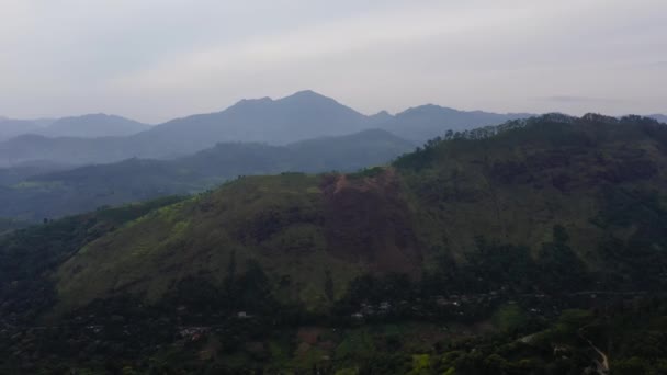 Agricultural Land Mountains Jungle Rainforest Sri Lanka — Wideo stockowe