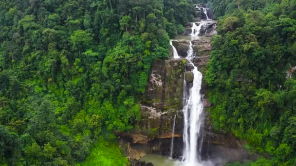 Tropical Aberdeen Falls Mountain Jungle Sri Lanka Waterfall Tropical Forest — Vídeo de Stock