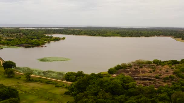 Top View Lake Panama National Park Green Jungle Sri Lanka — Stock Video