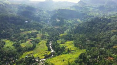 Mountain valley among tea plantations and waterfall in sunlight. Puna Ella Falls, Sri Lanka