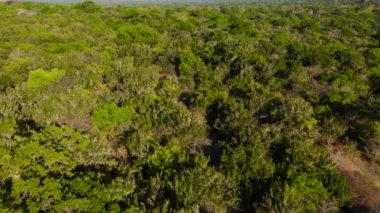 Top view of landscape of Sri Lanka with a tropical jungle forest. Kumana National Park.