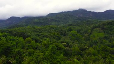 Aerial view of Mountain slopes covered with rainforest and jungle. Sri Lanka.