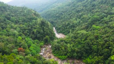 Top view of River among the rainforest and jungle. Sri Lanka.