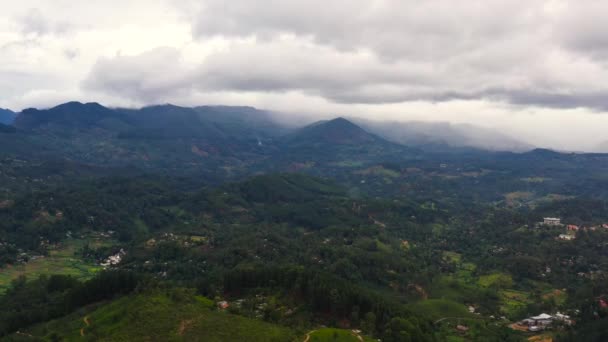 Tea Plantation Slopes Mountains Sri Lanka Mountain Valley Farmland — Stockvideo