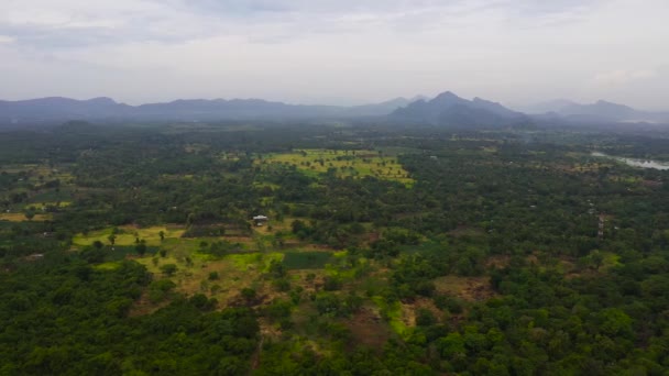 Повітряний Вид Долину Гори Сільськогосподарськими Угіддями Сігірія Шрі Ланка — стокове відео