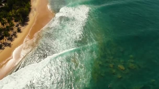 Tropical Landscape Beautiful Sandy Beach Blue Sea Baby Surf Point — 비디오