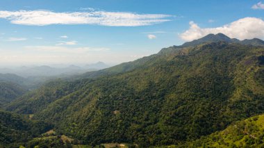 Sri Lanka dağlarındaki yeşil yağmur ormanı ve orman yukarıdan görünüyor..