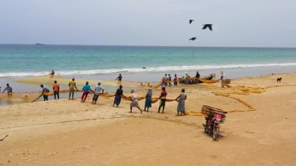 スリランカ 2021年8月25日 海から網を引いて魚を集めるビーチの漁師 トリンコマリー — ストック動画