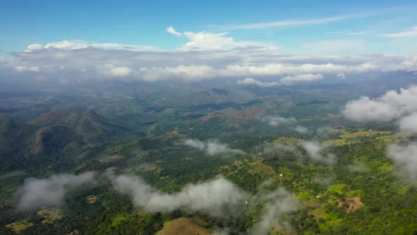 Горы Зеленые Холмы Шри Ланки Склоны Гор Вечнозеленой Растительностью Липтонское — стоковое видео