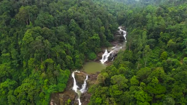 Beautiful Waterfall Rainforest View Aberdeen Falls Sri Lanka — Stock video