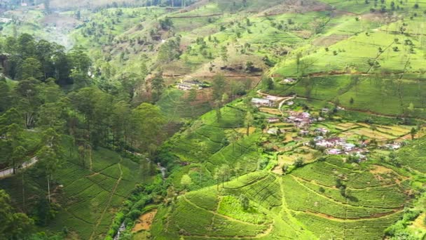 茶畑の間の山の中で村の空中ドローン 茶畑の風景 スリランカのヌワラエリヤ — ストック動画