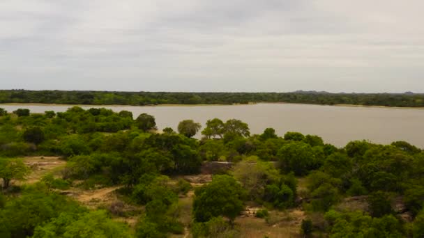 Aerial Drone Panama Wewa Lake Sri Lanka Tropical Jungle Landscape — Vídeo de Stock