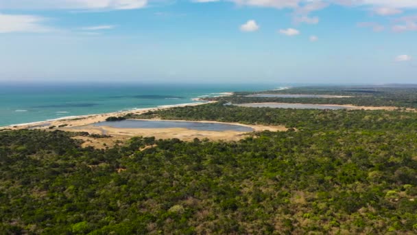 Aerial View Lakes Rainforest Kumana National Park Sri Lanka Tropical — Vídeo de Stock