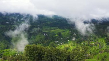 Tea plantations in the mountains. Aerial top view of Green tea estate landscape. Sri Lanka.