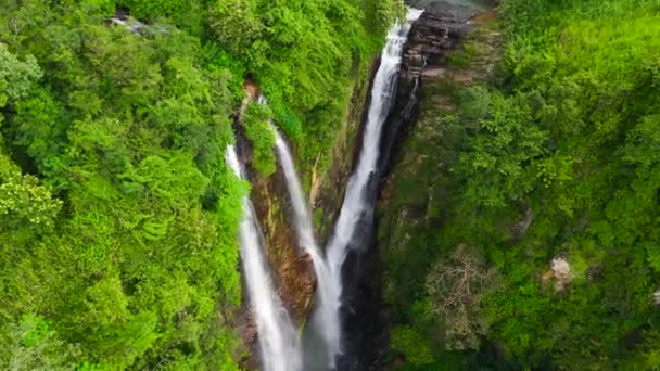 Waterfall Green Forest Puna Ella Falls Jungle Sri Lanka — 비디오