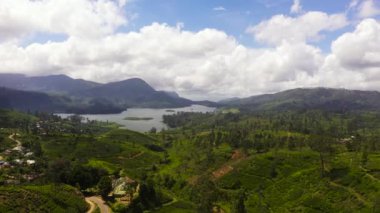 Aerial drone of Lake in the mountains among the tea plantations. Maskeliya, Maussakelle reservior, Sri Lanka.