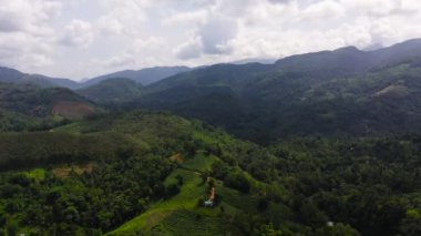 Aerial view of Tea plantations and agricultural land among mountains and hills with jungle. Sri Lanka.