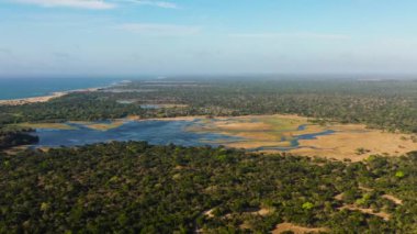Top view of lakes and jungles with tropical vegetation. Kumana national park. Tropical landscape.