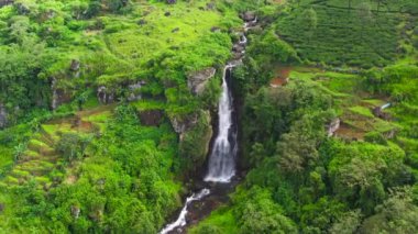 Beautiful waterfall and tea estate in Sri Lanka. Ramboda Falls.