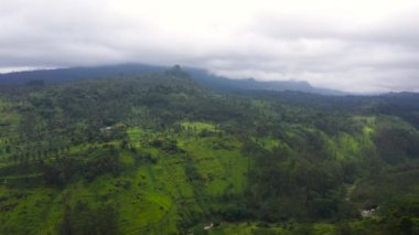 Dağların arasında çay evi olan tropik bir manzara. Çay tarlaları.