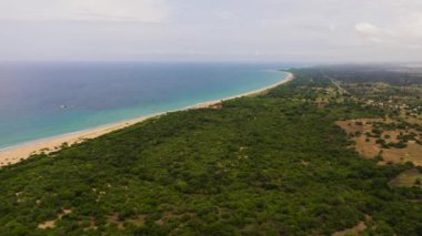 Aerial view of sandy beach with palm trees and ocean surf with waves. Sri Lanka.