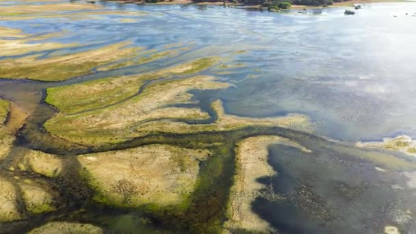 Αεροφωτογραφία Της Λίμνης Και Των Υγροτόπων Στο Εθνικό Πάρκο Kumana — Αρχείο Βίντεο