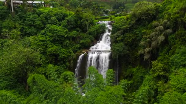 Waterfall Tea Plantations Mount Vernon Waterfall Sri Lanka — Video