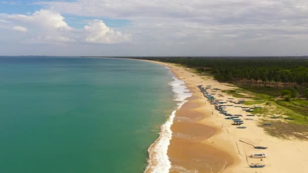 Top View Beautiful Sandy Beach Palm Trees Sea Surf Waves — Vídeo de Stock