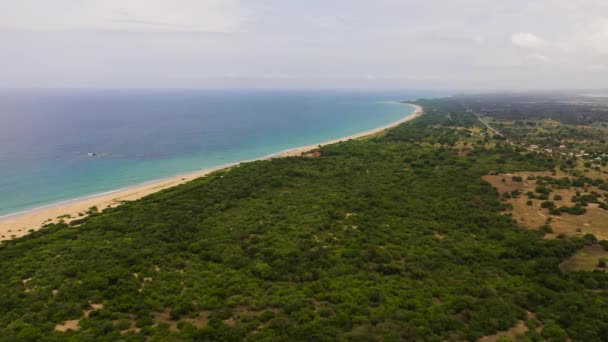 Aerial View Sandy Beach Palm Trees Ocean Surf Waves Sri — Stok video