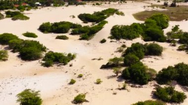 Aerial drone of Sand hills and dunes with shrubs near the ocean. Manalkaadu Sand Hills. Sri Lanka.