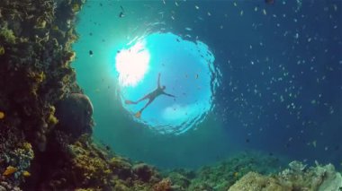 Suyun altındaki mercan kayalıklarında balıklar ve deniz yaşamı var. Mercan kayalıkları ve tropikal balıklar. Filipinler.
