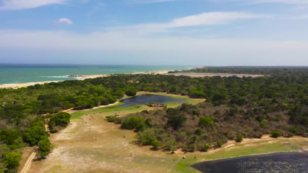 Tropical Landscape Ocean Jungle Lakes Kumana National Park Sri Lanka — Stok video