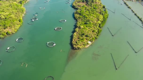 Aerial Drone Sea Fish Farm Cages Fish Farming Dorado Seabass — Stockvideo