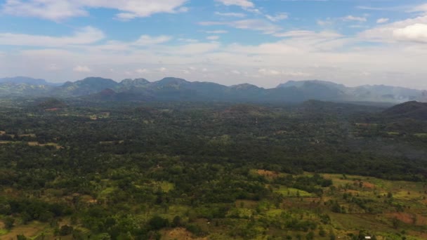 Yağmur Ormanları Tarım Arazisi Olan Dağ Yamaçları Sri Lanka — Stok video