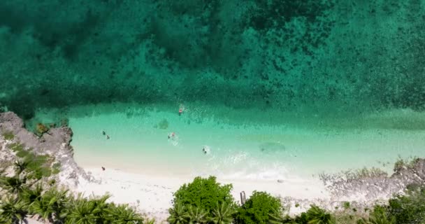 Top View Tropical Beach Palm Trees Virgin Island Philippines — Wideo stockowe