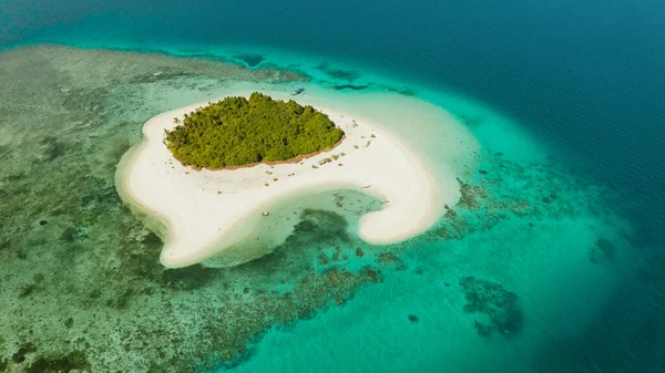 Tropikal bir adada mercan resiflerinin yanındaki palmiye ağaçlarının olduğu kumlu bir sahil manzarası. Kumlu Patawan adası. Yaz ve seyahat tatil konsepti.