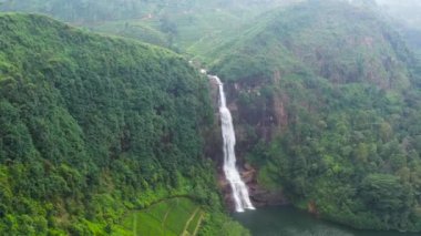 Waterfall among tea plantations. Gartmore falls. Maskeliya, Sri Lanka.